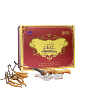 ĐTHT Nhuận Chi